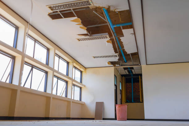 Trusted Ampere North, NJ Water damage restoration Experts