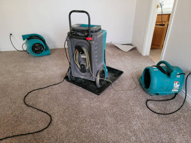 Best Fire Damage Restoration  in Ampere North, NJ