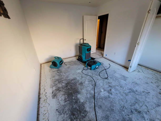 Water damage restoration experts in Ampere North, NJ
