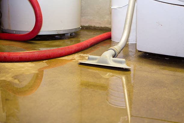 Best Water damage restoration mold remediation  in Ampere North, NJ