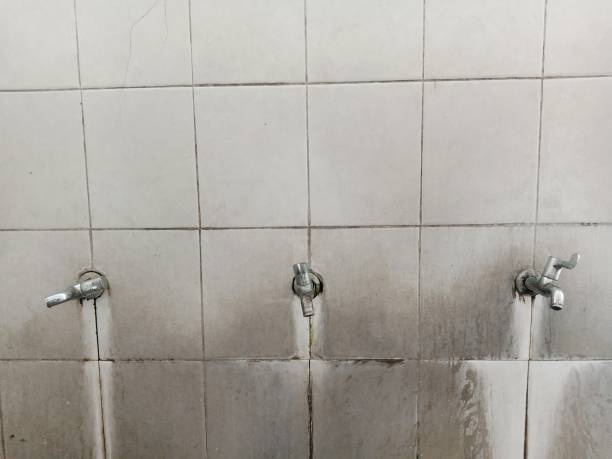Best Water damage restoration experts  in Ampere North, NJ