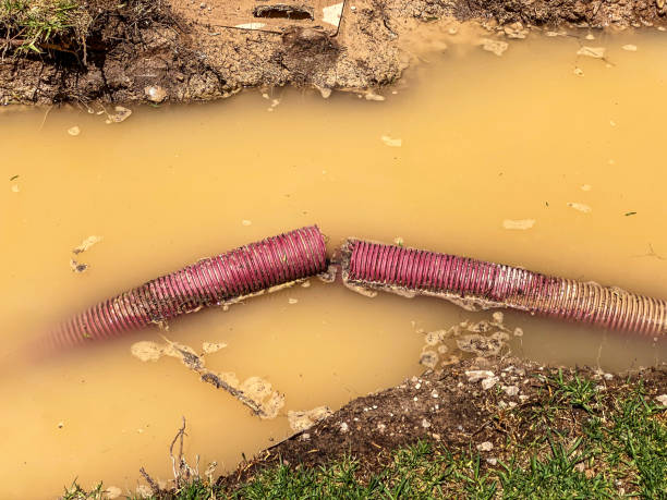 Best Water damage restoration near me  in Ampere North, NJ